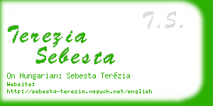 terezia sebesta business card