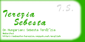 terezia sebesta business card